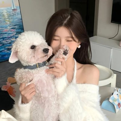 囧女翻身之嗨如花封面